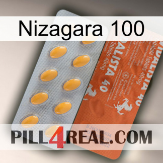 Nizagara 100 43